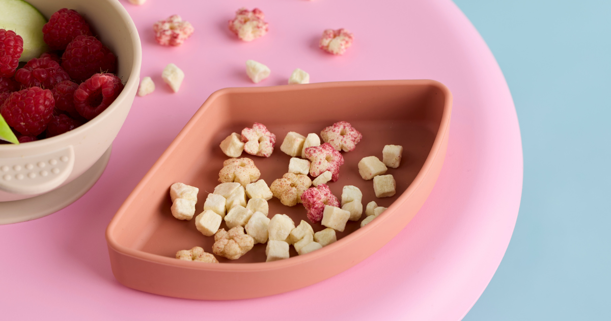 Little Bellies Freeze-Dried Toddler Snacks Perfect for Toddler Snack Boxes