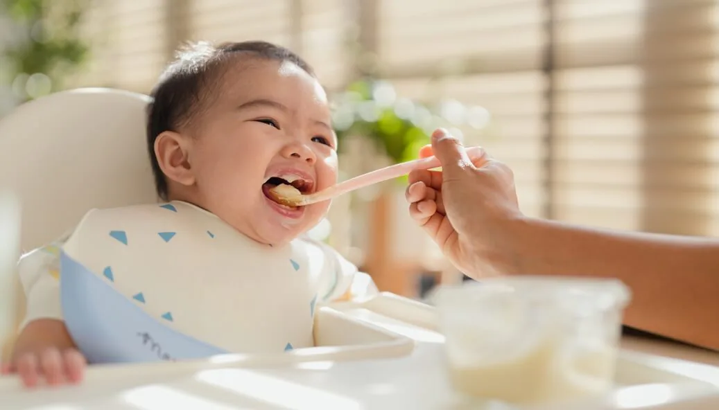 Protein Sources for Babies - Easy Ideas for Meals and Baby Snacks - Little Bellies